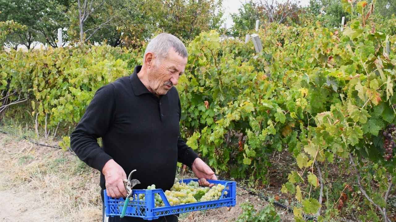 Bozkır'ın Ortasında Yozgat'ta Emekli Öğretmen Yeşil Cennetini Kendi Kurdu (3)