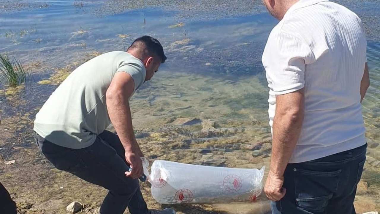 Sorgun Göletlerine 150 Bin Yavru Balık Bırakıldı (1)
