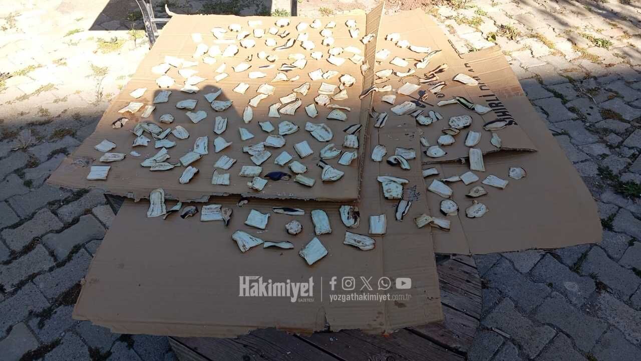 Yazın Emeği Sofralara Taşınıyor Yozgat'ta İmece Usulü Hazırlıklar Sürüyor (4)