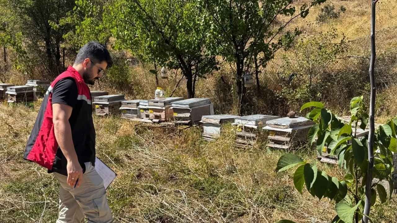 Yerköy’de Arıcılık Denetimleri Sürüyor: Köylerde Arı Tespit Çalışmaları Yapıldı