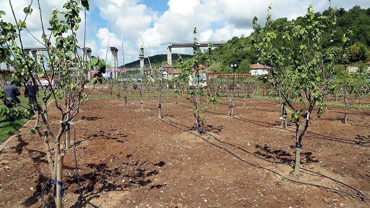 Yerköy’de Çiftçilere Önemli Uyarı!