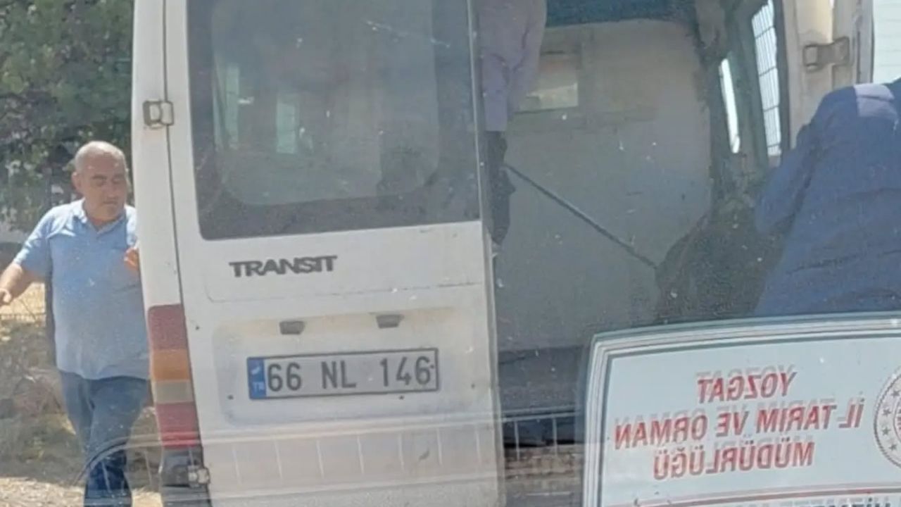 Yerköy’de Çipsiz Hayvanlara Denetim! Sahiplerine Önemli Uyarı (1)