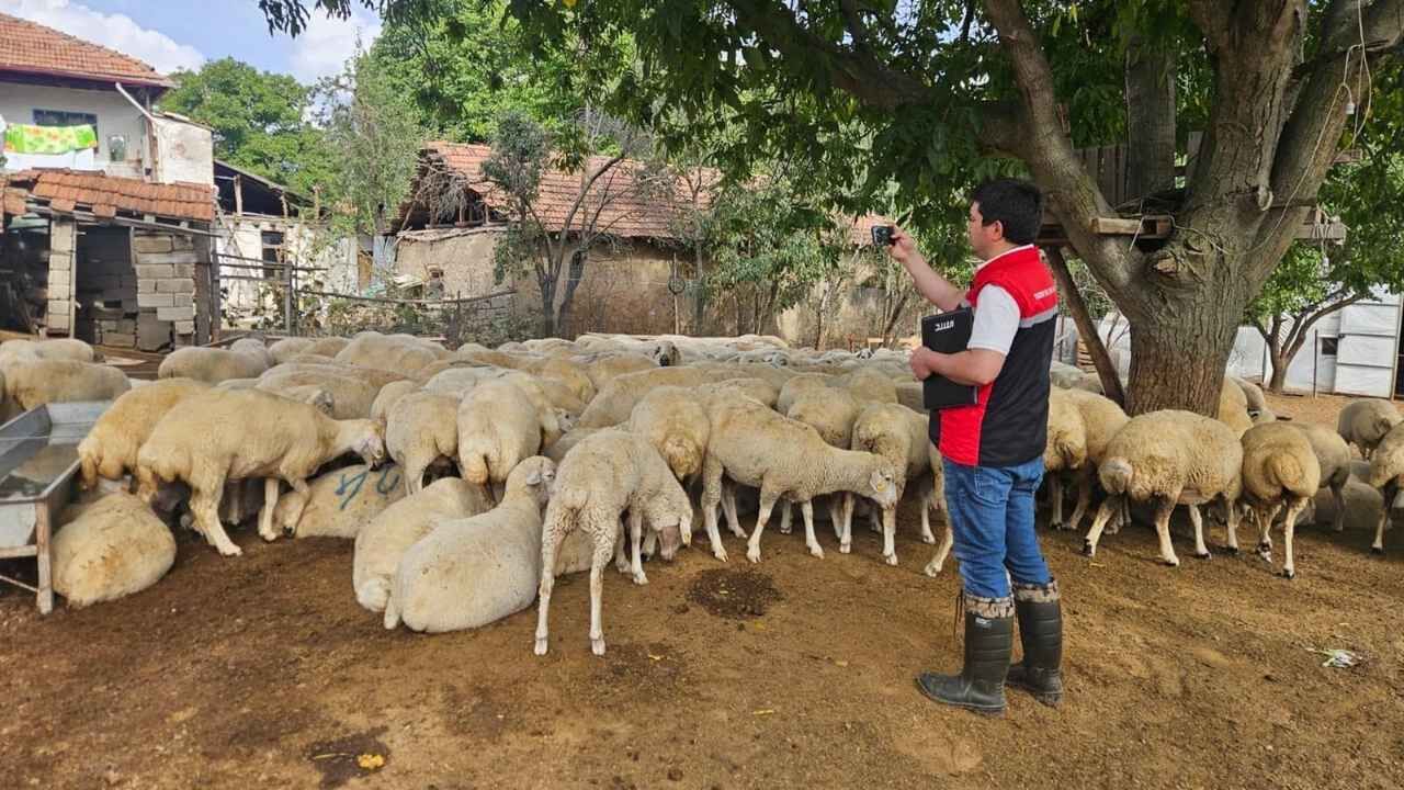 Yozgat Sorgun’da “Kırsalda Bereket” Projesi Hayata Geçirildi (2)