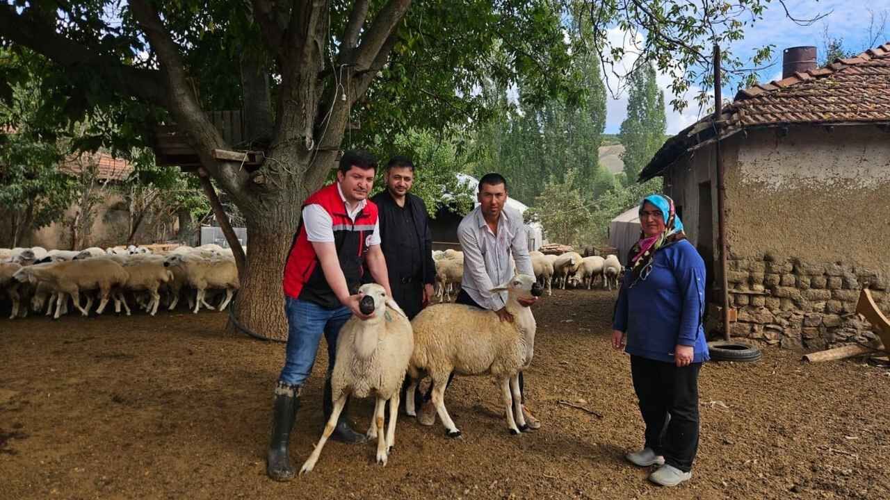 Yozgat Sorgun’da “Kırsalda Bereket” Projesi Hayata Geçirildi