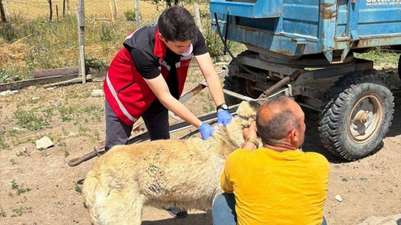 Yozgat Valiliğinden Sert Uyarı Bu Şartı Yerine Getirmeyene Ağır Fatura! (2)