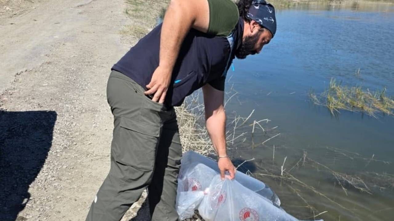 Yozgat’ta 17 Baraj Gölüne 435 Bin Yavru Balık Bırakıldı (1)