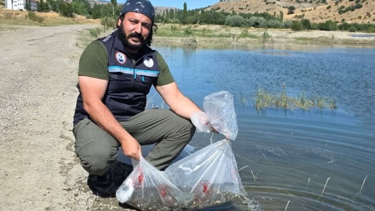 Yozgat’ta 17 Baraj Gölüne 435 Bin Yavru Balık Bırakıldı (2)
