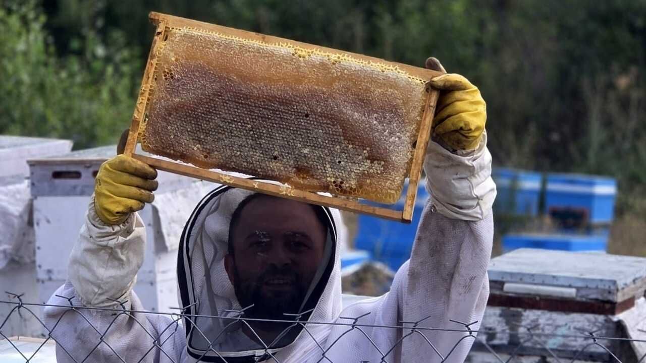 Yozgat'ta 3 Kovanla Başlayan Serüven Dev Tesise Dönüştü (1)