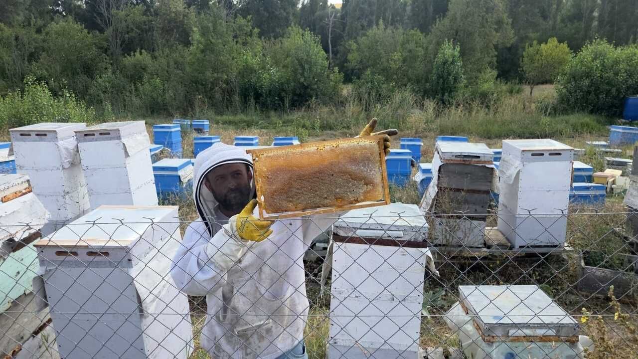 Yozgat'ta 3 Kovanla Başlayan Serüven Dev Tesise Dönüştü (3)