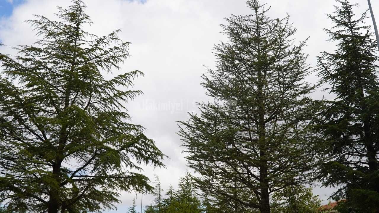 Yozgat'ta 8 Eylül Hava Durumu Nasıl Olacak Sıcaklık 20 Dereceyi Görecek (2)