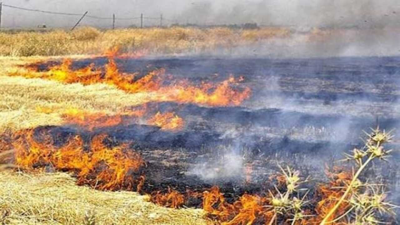 Yozgat'ta Alevler Peş Peşe Yükseldi Valilikten Son Dakika Hayati Uyarı! (1)