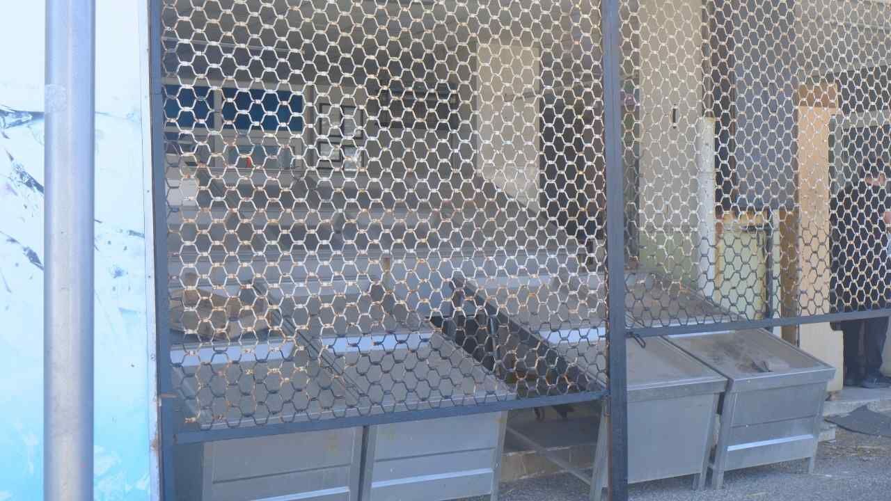 Yozgat’ta Balık Sezonu Cuma Günü Başlıyor, Tezgahlar Dolacak (1)