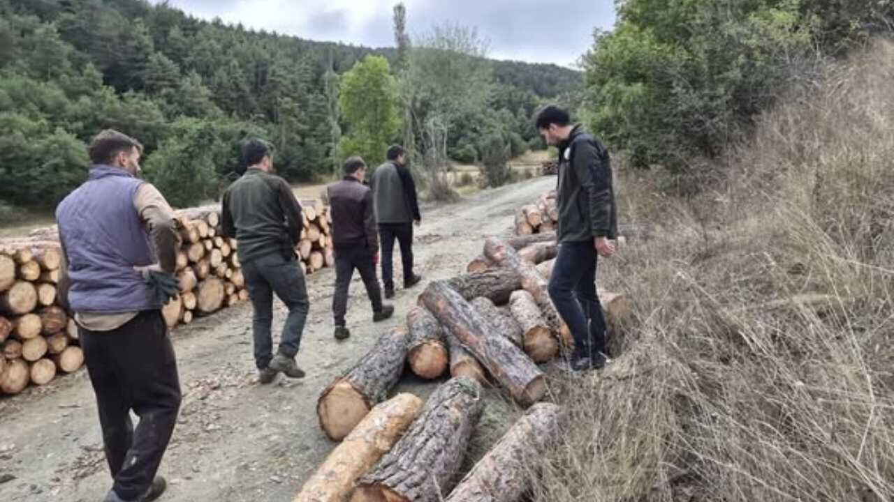 Yozgat'ta Ormanlar Mercek Altında