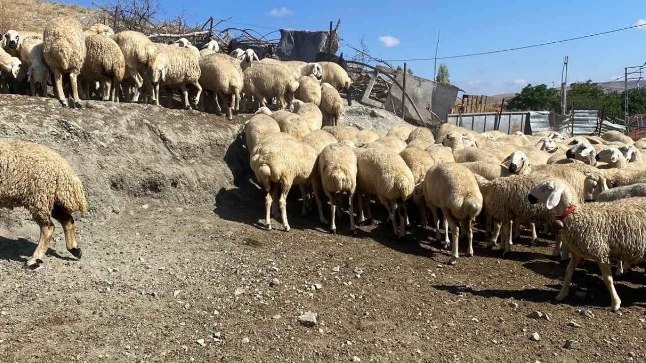 Yozgat’ta Örnek Davranış Çamlık Milli Parkı’ndaki Çeşmeyi Elleriy Le Temizledi (2)