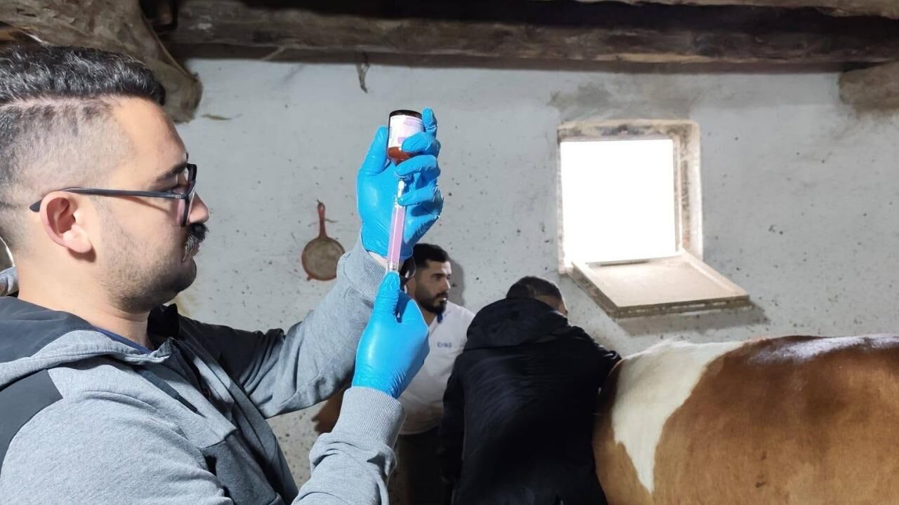 Yozgat’ta Şap Aşılama Kampanyası Hız Kesmeden Devam Ediyor