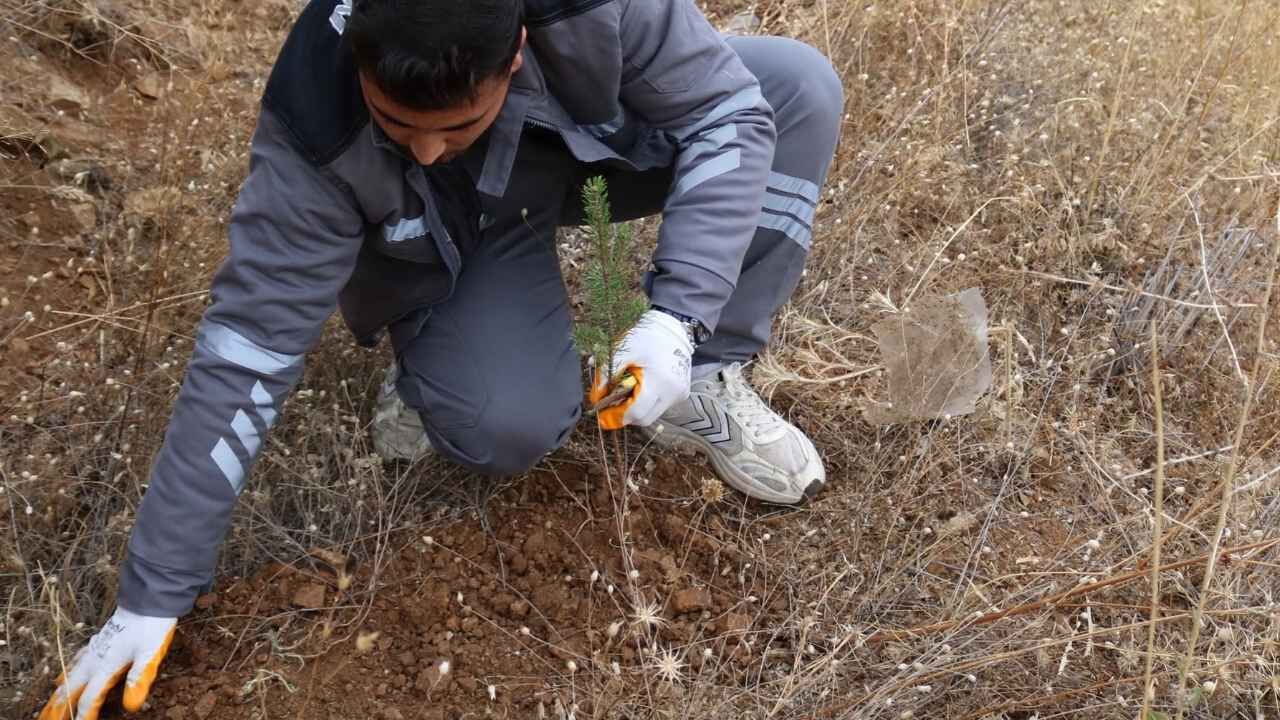 Yozgat'ta Şehit Halil İbrahim Yiğit Hatıra Ormanı Yeşeriyor (2)