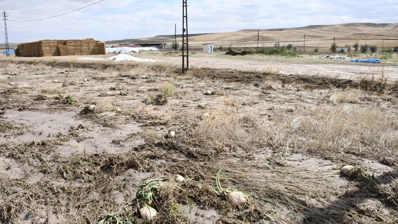 Yozgat'ta Sel Felaketi Kuzayca Köyü Sular Altında Kaldı (5)