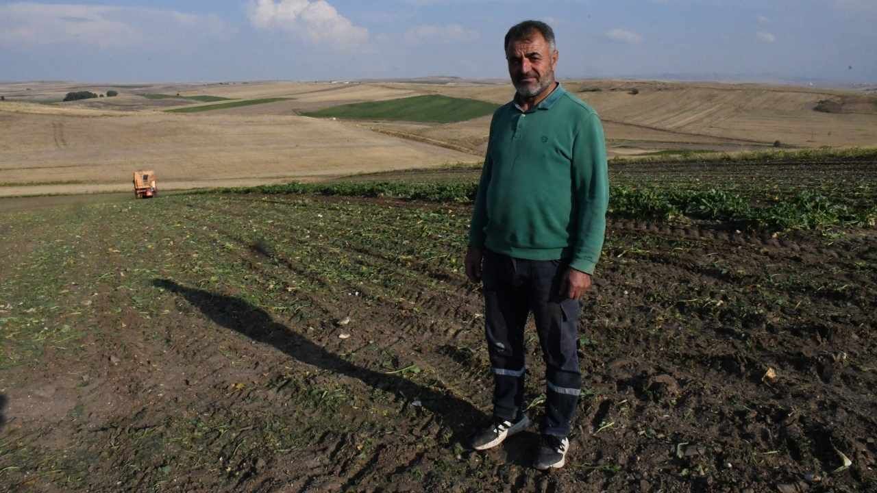 Yozgat'ta Sofraların Baş Lezzeti İçin Hasat Vakti! (3)