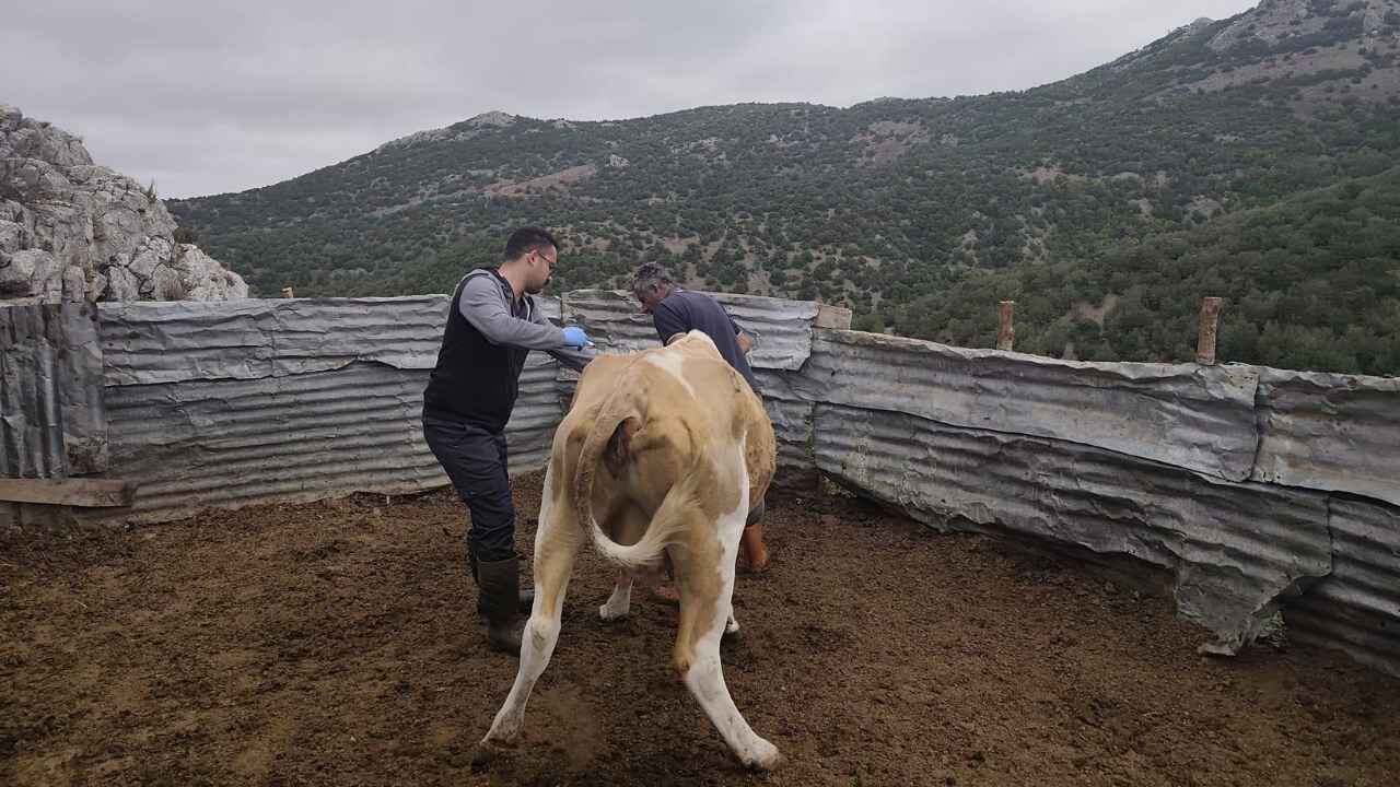 Yozgat’ta Zorlu Pelvis Ameliyatı (2)