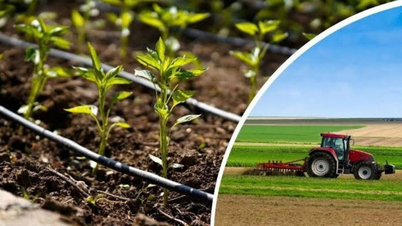 Zirai İlaçta 1 Temmuz Düzenlemesi Çiftçiyi ve Bayiyi Çıkmaza Soktu
