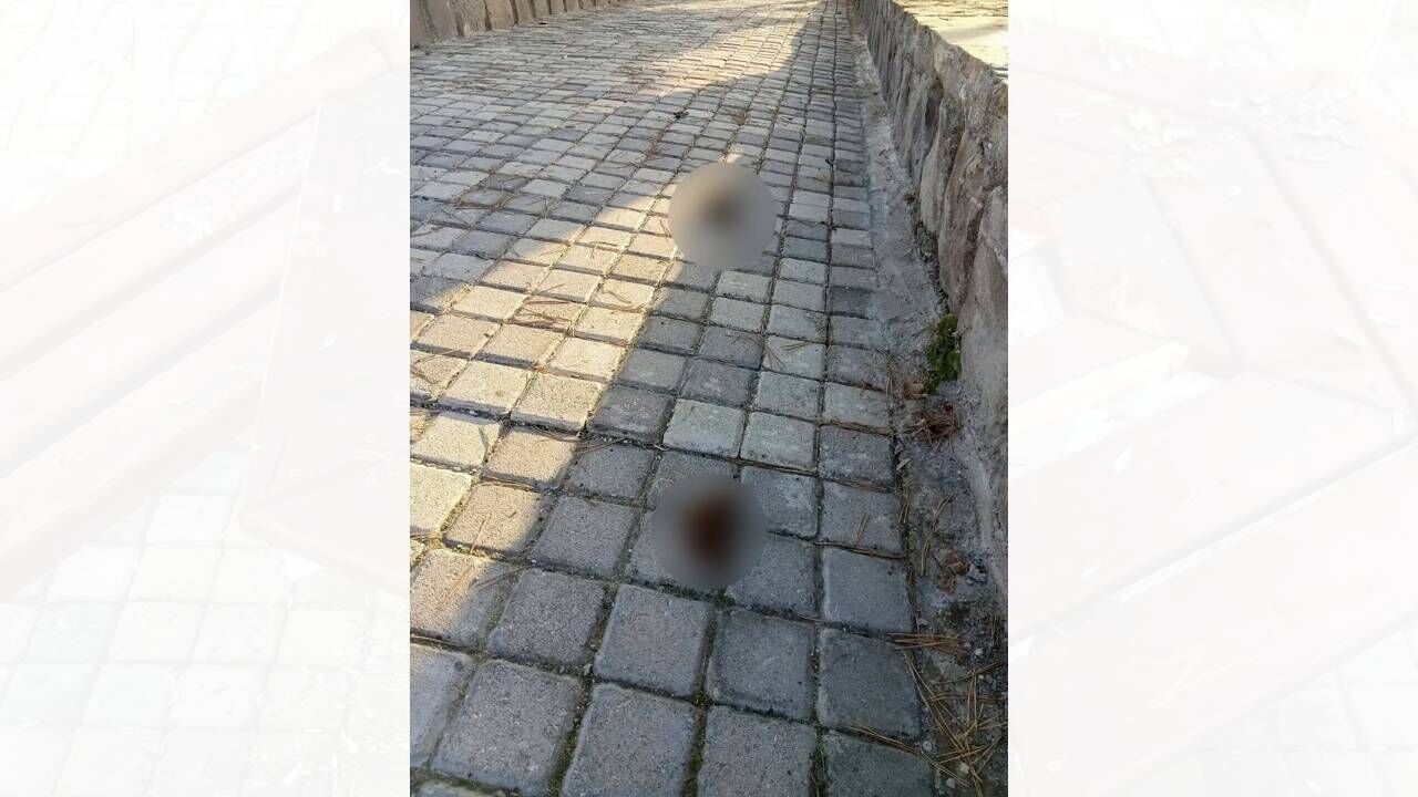 Çekerek’te Duyarsızlığın Bu Kadarı 'Pes' Dedirtti! (2)