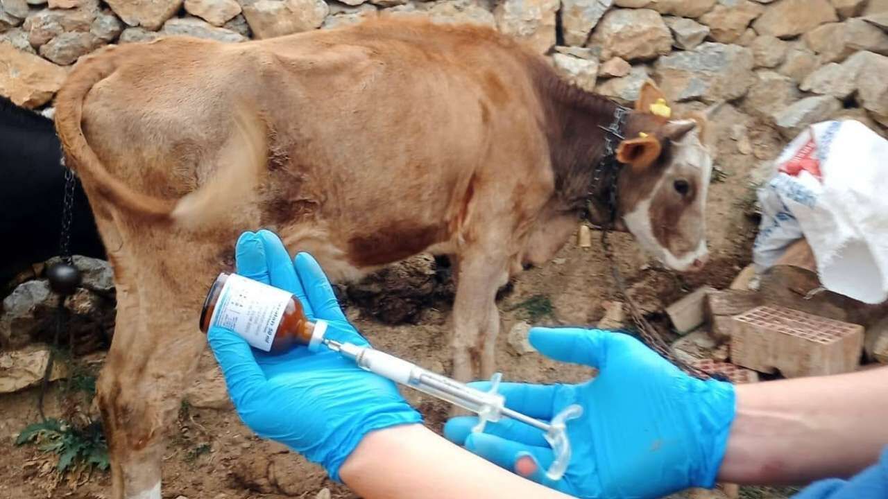 Kadışehri’nde Sonbahar Aşılama Seferberliği