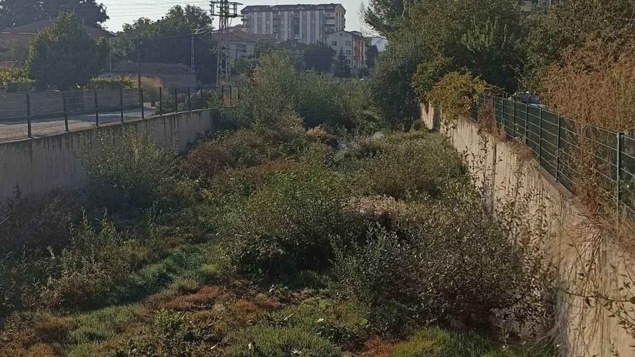 Sorgun’da Delibaş Deresi Temizlik Bekliyor! (1)