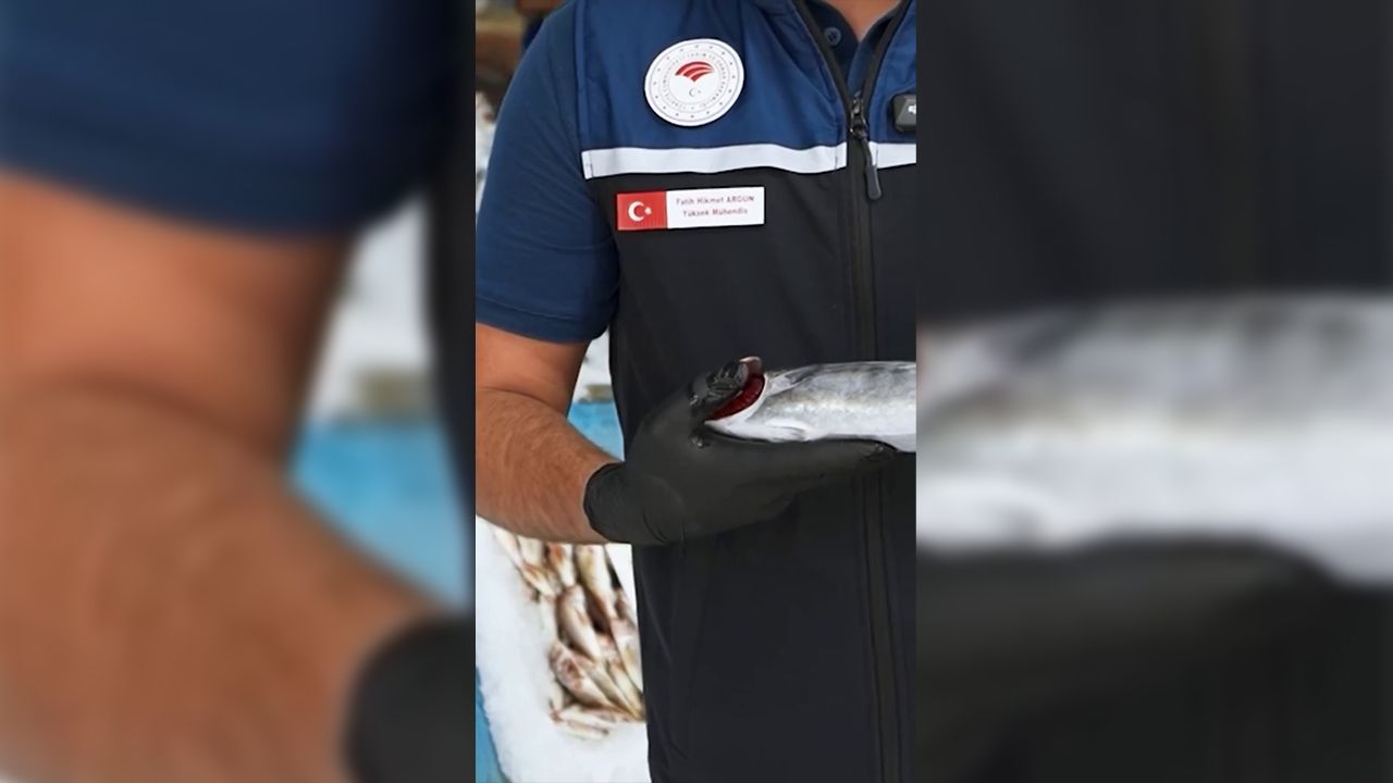 Taze Balık Nasıl Anlaşılır 3 Altın Tavsiye (2)