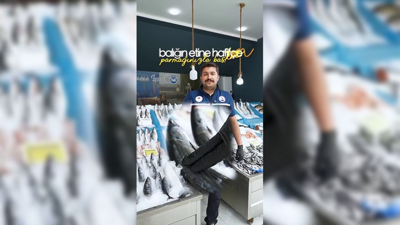 Taze Balık Nasıl Anlaşılır 3 Altın Tavsiye (3)