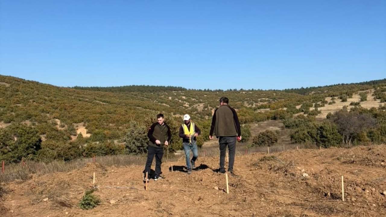 Yozgat Aydıncık’ta Kızılçam Döl Deneme Sahası Mercek Altında! (2)