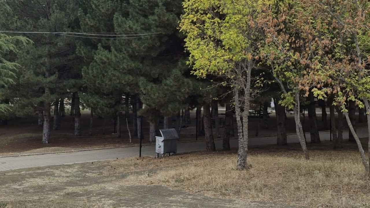 Yozgat’ın Orman Zenginliği Vatandaşla Buluşuyor! Yeni Park Yerleri Tespit Edildi (1)