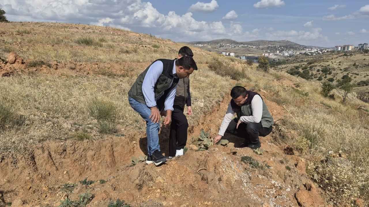 Yozgat’ta 11 Kasım Hazırlığı Orman İşletme Müdürlüğü Sahaya İndi! (2)
