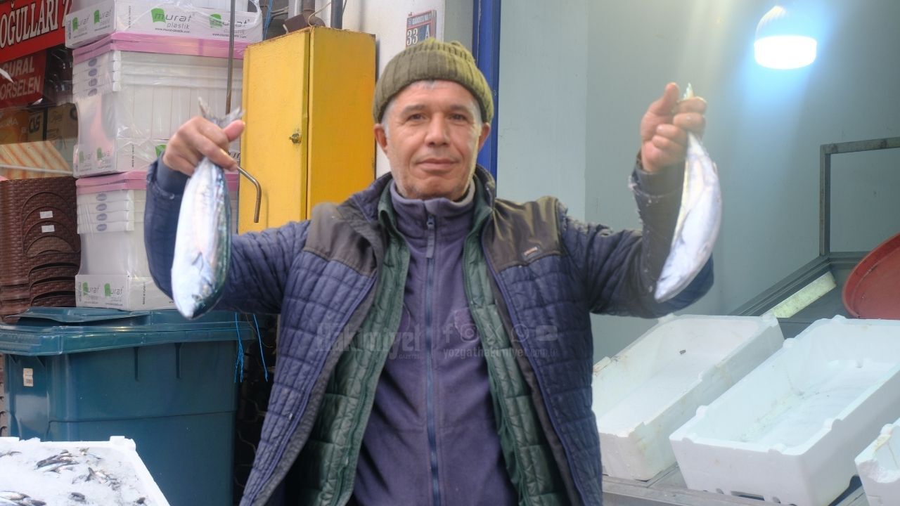 Yozgat'ta Balık Dar Gelirlinin Umudu Oldu (1)