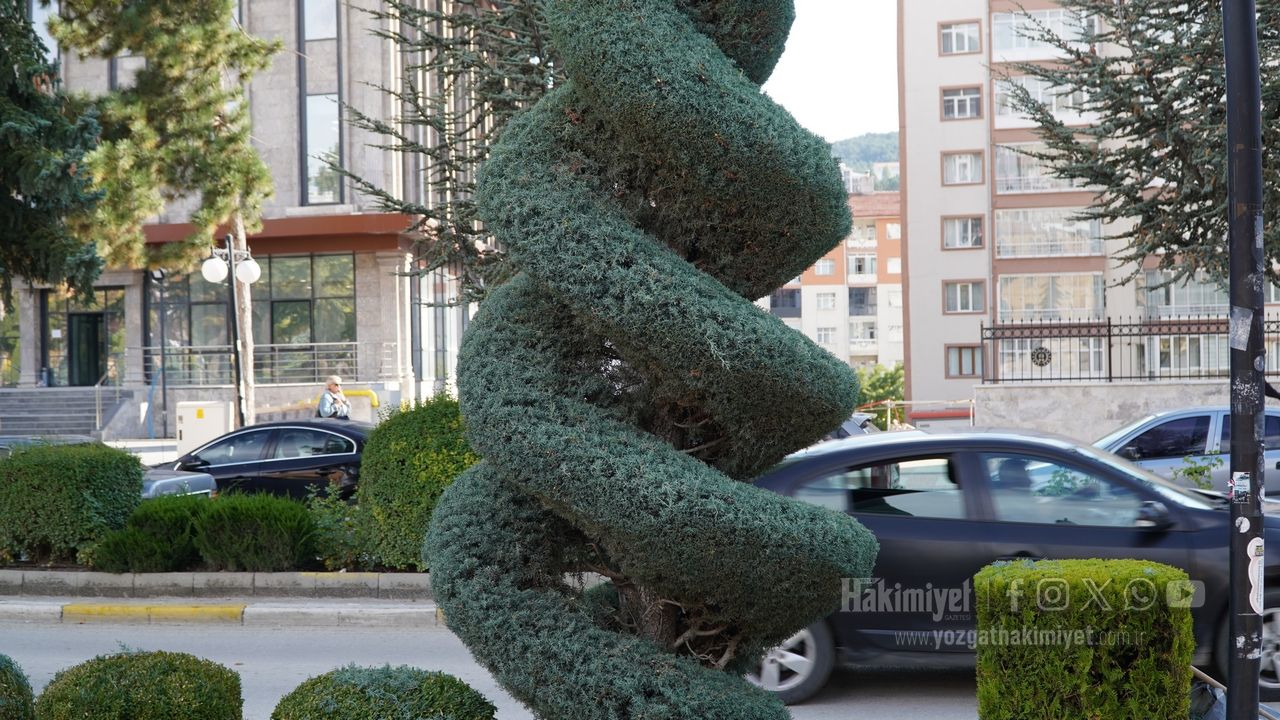 Yozgat’ta Cadde Ve Sokaklara Bakım Dokunuşu (3)