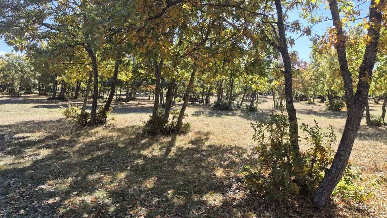 Yozgat'ta Doğa Korunuyor (1)