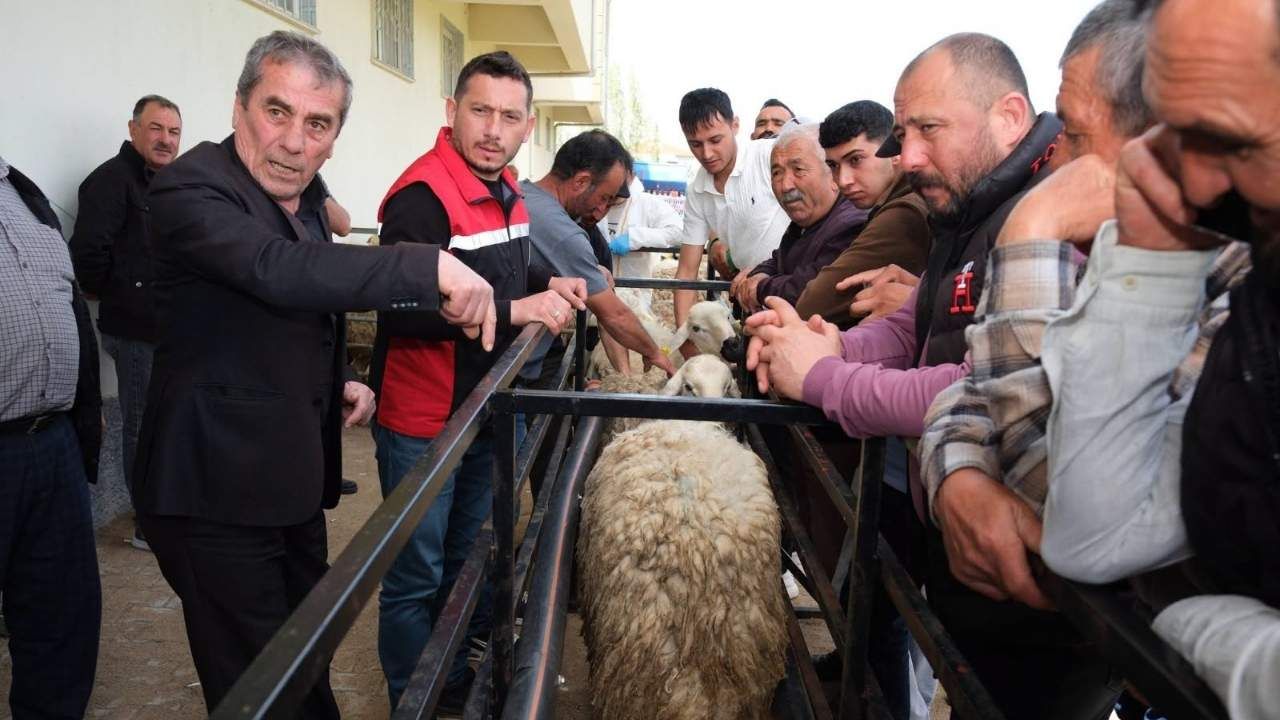 Yozgat'ta Hayvancılığa Destekler Aralıksız Devam Ediyor (1)