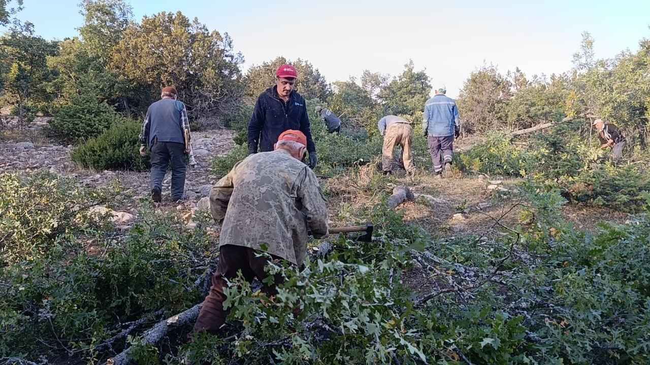 Yozgat'ta İmece Usulü Kışlık Odun İhtiyacı Karşılanıyor (2)