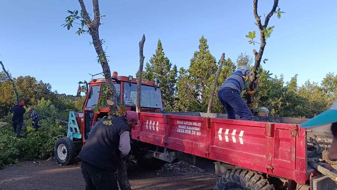 Yozgat'ta İmece Usulü Kışlık Odun İhtiyacı Karşılanıyor (3)