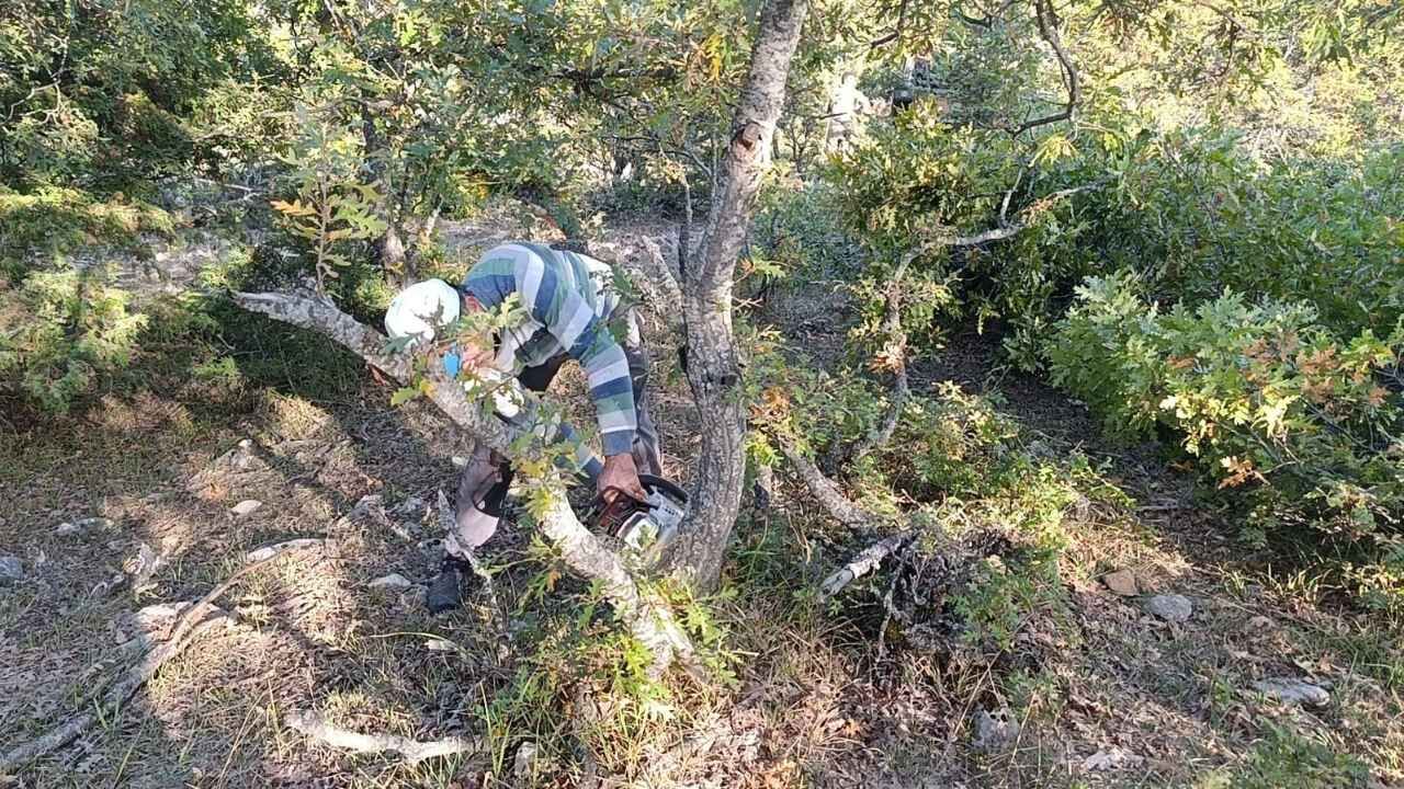 Yozgat'ta İmece Usulü Kışlık Odun İhtiyacı Karşılanıyor (5)