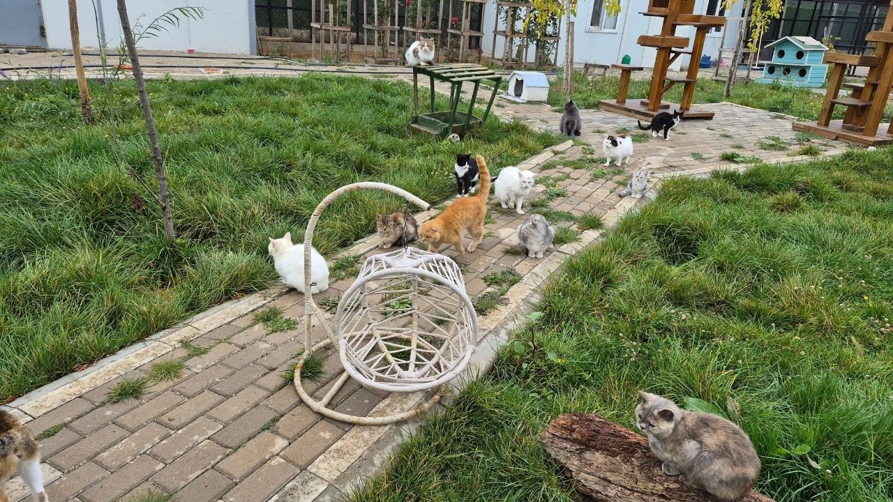 Yozgat'tan Türkiye'ye Örnek Model Evcil Köy Farkındalık Merkezine Dönüştü (1)